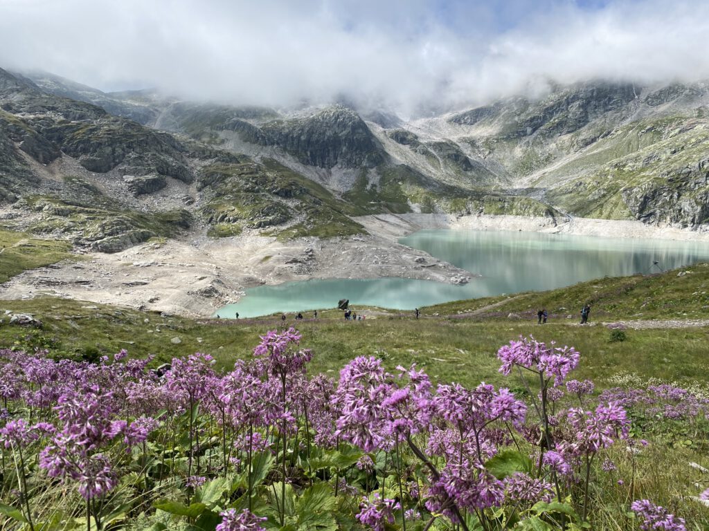 weissee (1)